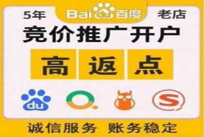 百度推广在体育行业中的营销策略与效果